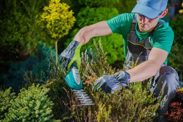 landscaping services Lincolndale